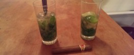 Le Mojito et le Léon des bois